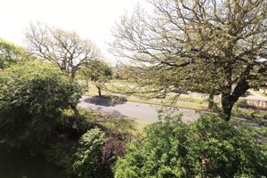 Photo 11- click for photo gallery